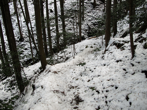 20140211hike (280)